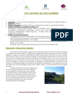 Guareña.pdf