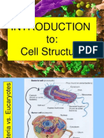 Introduction To Cell Structure