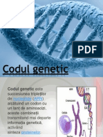 Codul Genetic, Proiect Lupanciuc Mihaela 1114