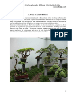 Manual Bonsai Completo