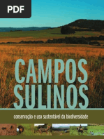 Campos Sulinos - Valerio de Patta Pillar