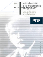 Introduccion A La Psicologia Junguiana Robin Robertson