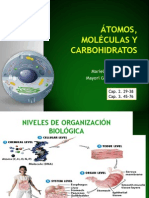 Atomos moléculas carbohidratos acidos nucleicos