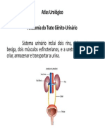 Apresentação  - Atlas urologico - PDF