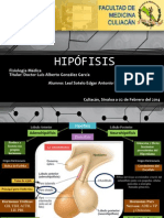 VIII Hipófisis Leal 02-Feb-14