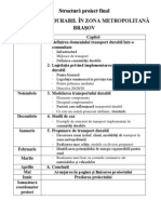 Structură Proiect Remus Costan