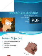 Mechanical Digestion