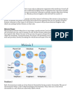 Notes - Meiosis