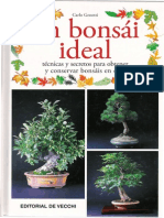 Bonsai Ideal