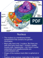 The Nucleus and Nuclear Envelope