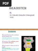 anatomyofbrainstem-100612052032-phpapp01