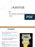 anatomyofbrainstem-100612052032-phpapp01
