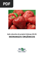 Cartilha Acao Educativa Morangos Organicos PDF