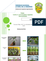 Cultivo in vitro de tejidos vegetales