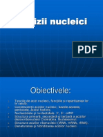 65_acizii_nucleici