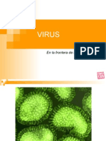 Virus