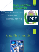 Sistemasensorial 100812175135 Phpapp01