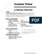 Curriculum Vitae Basico