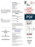 Seminario CIRF Rc-Ecomap Brochure5-09-2010