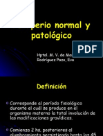 6939451 Puerperio Normal y Patologico