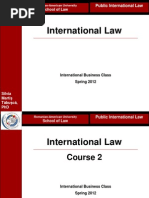 Silvia Martis Tabusca - International Law