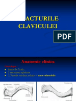 Acturile Claviculei