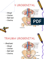 Trauma Urogenital