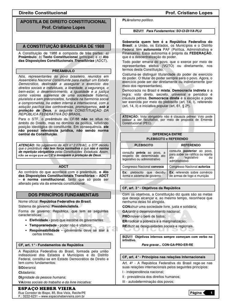 Apostila de Direito Constitucional Sudene e PF Cristiano Lopes | PDF ...