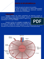 Adenopatia Si Splenomegalia