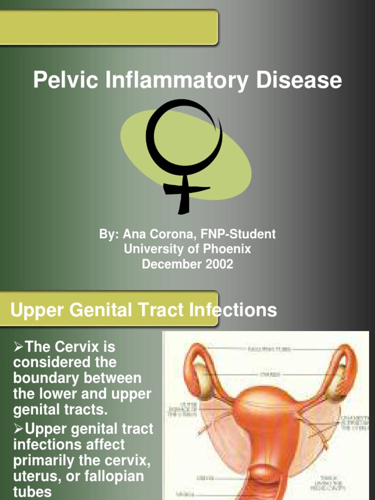 Understanding Pelvic Inflammatory Disease | PDF | Medicine | Medical ...