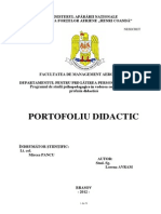 Portofoliu Didactic