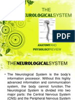 Neurologic System