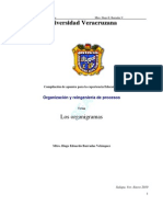 Apuntes Sobre Organigramas PDF