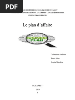 Plan D Affaires