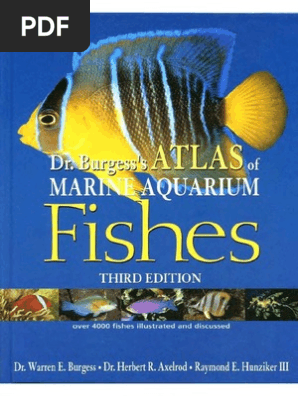 洋書　Dr. Burgess's Atlas of 海水魚　大型本 Dr. Burgess's Atlas of Marine Aquarium Fishes: Warren E. Burgess