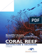 Beautiful Oceans; Coral Reef Architecture Organisms - Illustrated - English __