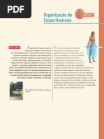 Anatomia - Termos Direcionais