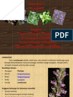 Lamiaceae Botfar - PP