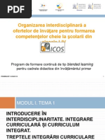 Interdisciplinaritate