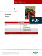 Pepper RIVERA Technical Sheet 2014