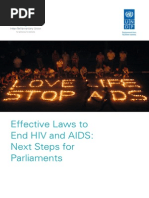 Effective Laws To End HIV and AIDS: Next Steps For Parliaments. Inter-Parliamentary Union, 2013