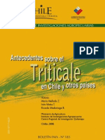 Antecede Sobre El Triticale