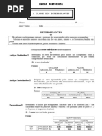 A Classe Dos Determinantes - Ficha de Trabalho
