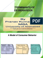 Basic Determinants of Consumer Behaviour