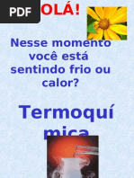Termoquimica Com Imagens