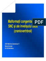 Curs 8 Malformatii Congenitale