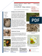 12 Vespa Velutina 1col Infosheet