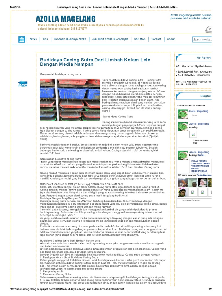 Budidaya Cacing Sutra Dari Limbah Kolam Lele Dengan Media ...
