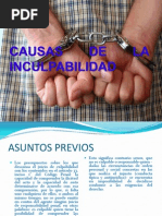 Causas de La Inculpabilidad