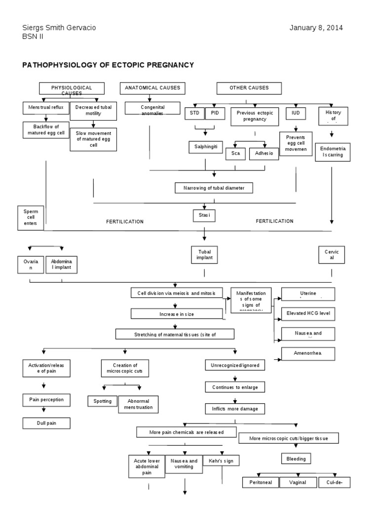 Ectopic Pregnancy Pathophysiology